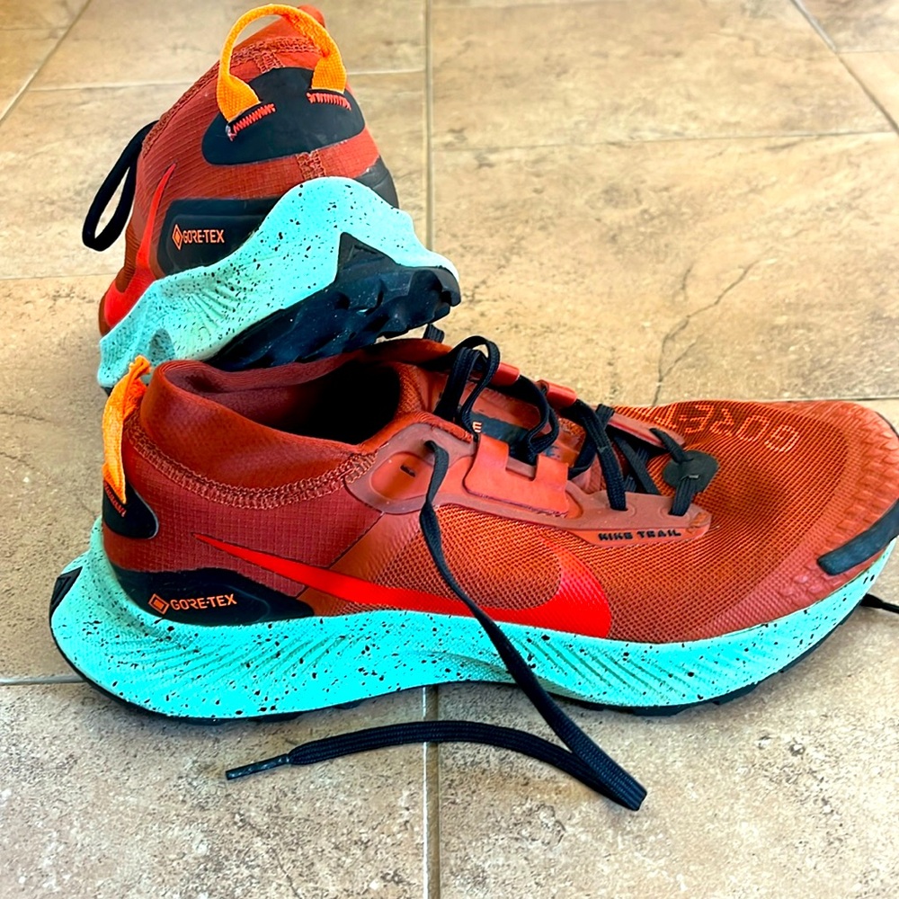 Nike Goretex Pegasus trail runner